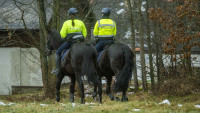 jízdní policieIRma